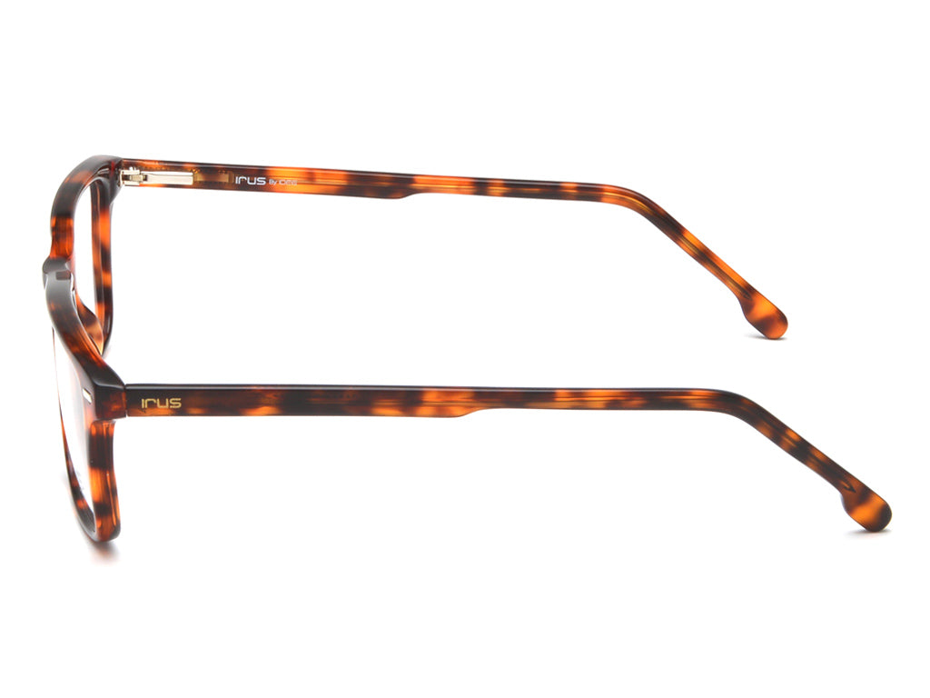 IRUS 2141 Square Men Frames