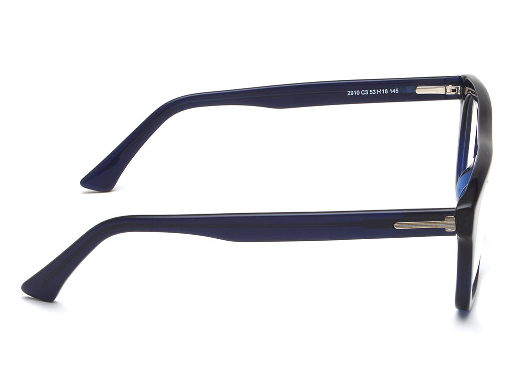 IRUS 2910 Square Men Frames