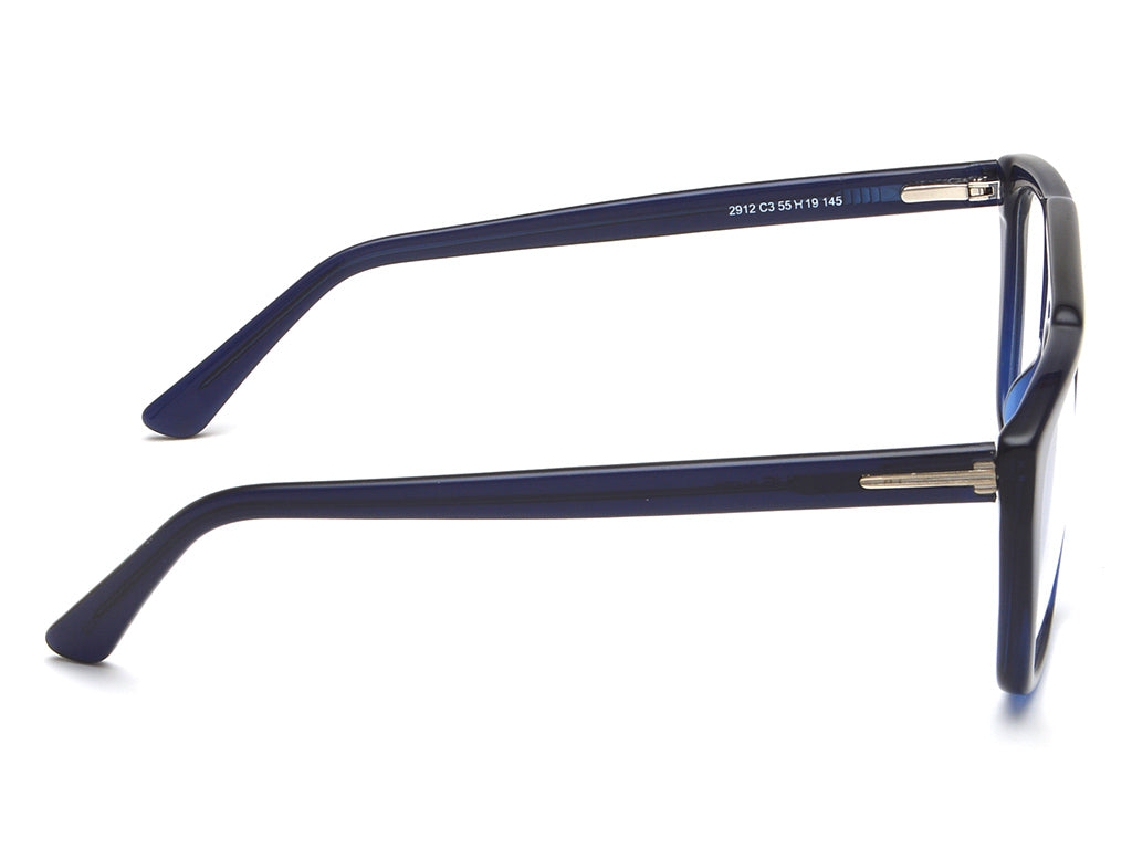 IRUS 2912 Square Men Frames