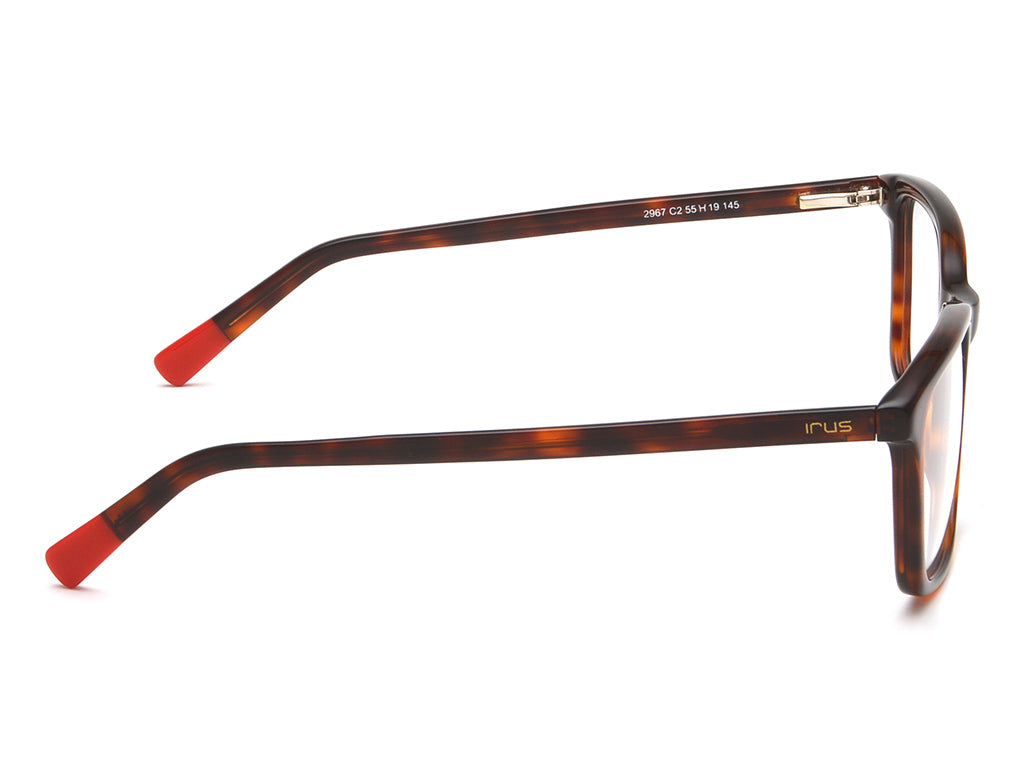 IRUS 2967 Square Men Frames