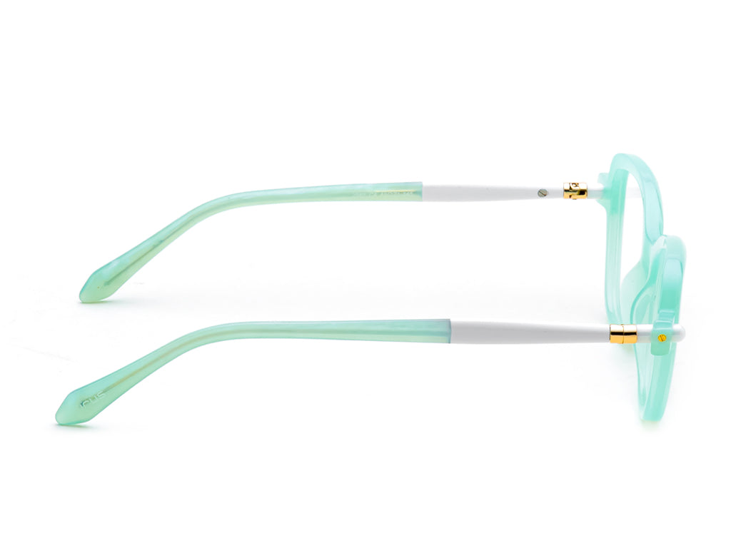 IRUS 2985 Cat Eye Women Frames