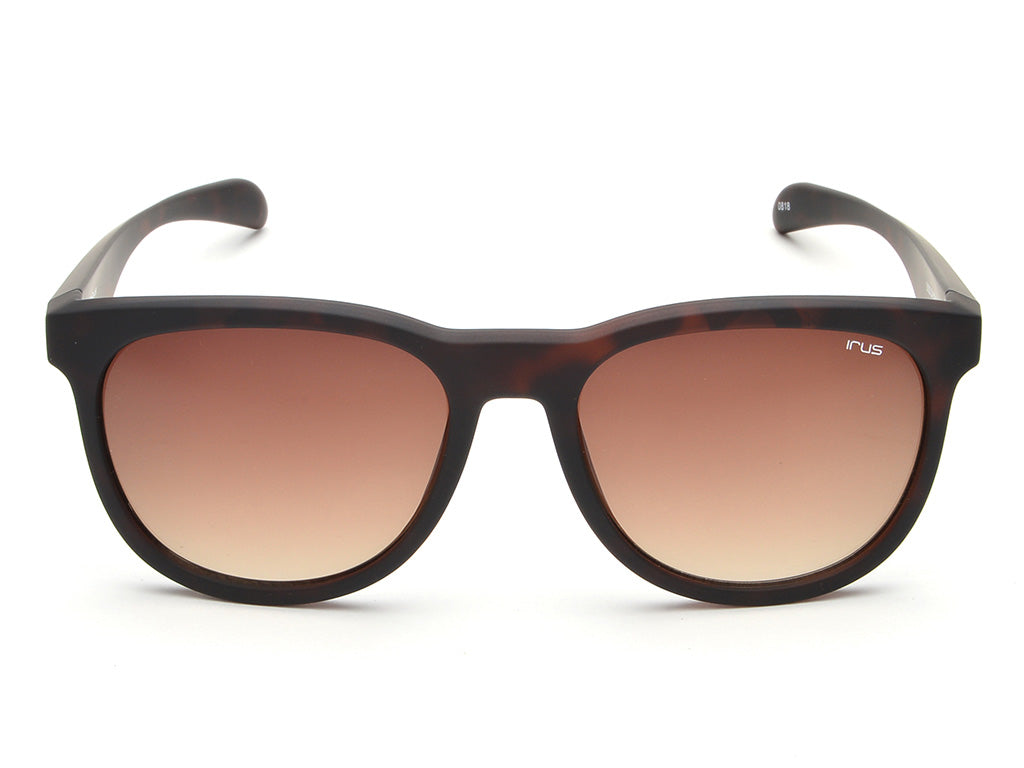 IRUS 1003 Men Square Sunglasses