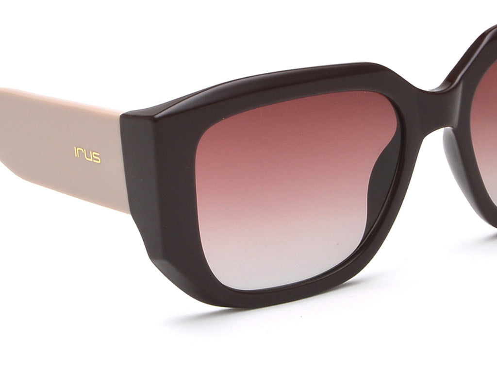 IRUS 1241 Women Square Sunglasses