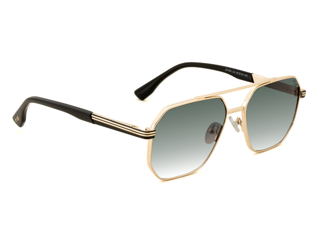 IRUS S1466 Hexagon Men Sunglasses