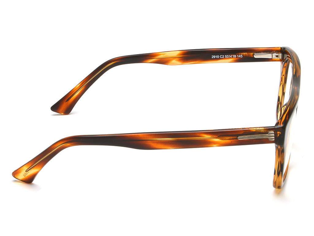 IRUS 2910 Square Men Frames