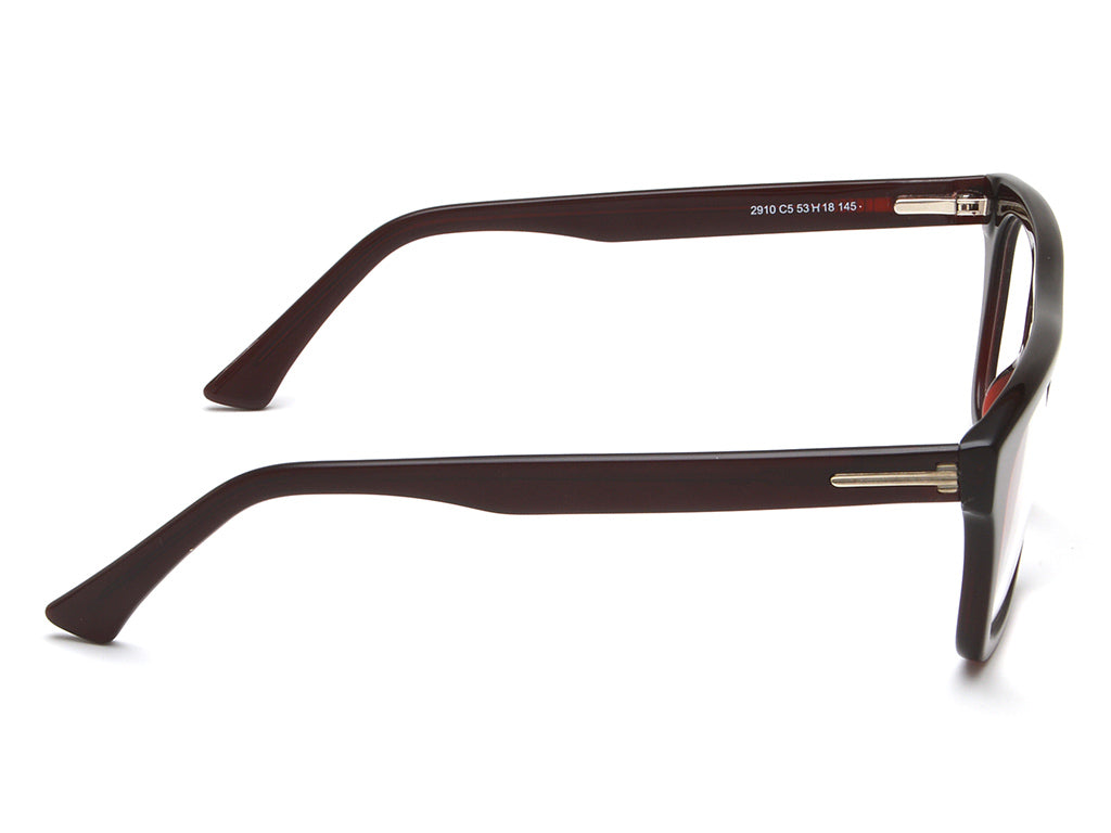 IRUS 2910 Square Men Frames