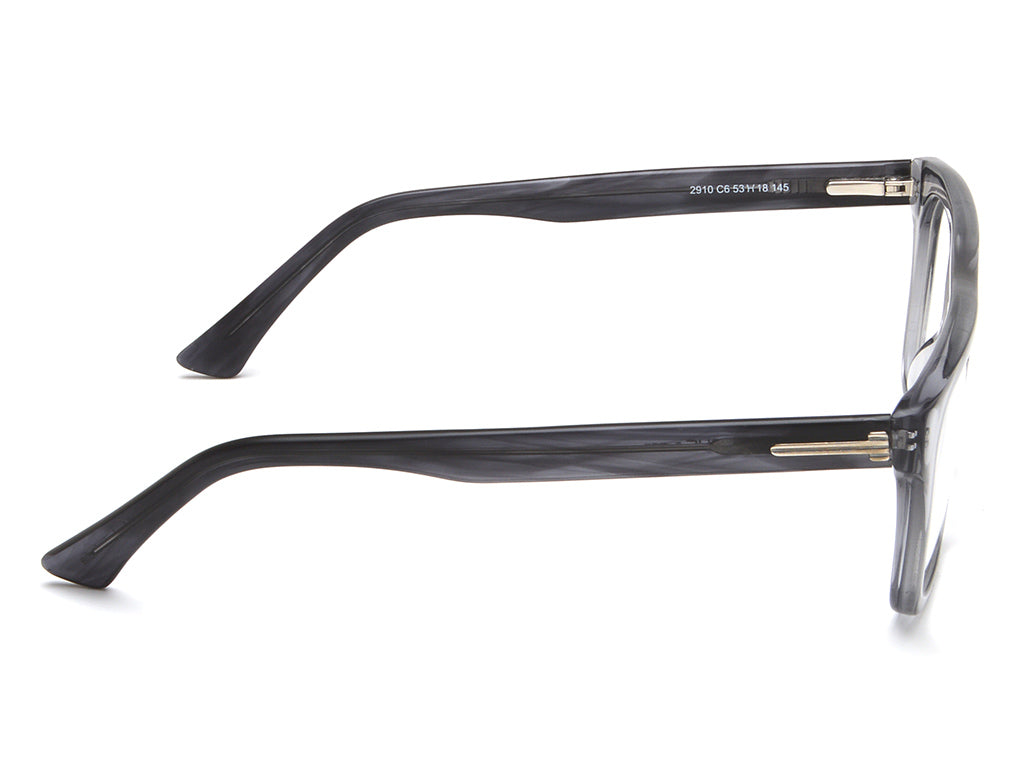 IRUS 2910 Square Men Frames