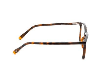 IRUS 3219 Women Butterfly Frames