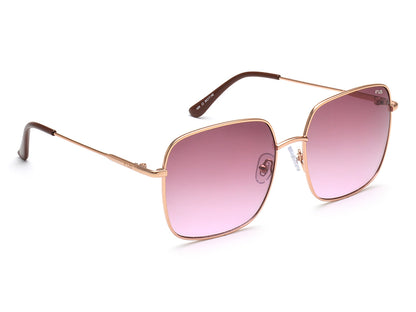 IRUS 1069 Women Square Sunglasses