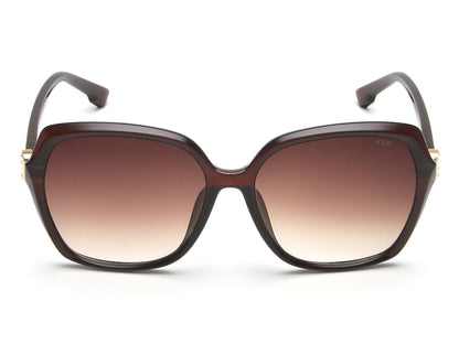 IRUS 1132 Women Square Sunglasses