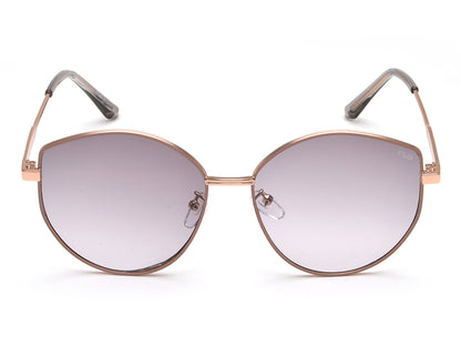 IRUS 1137 Women Oval Sunglasses