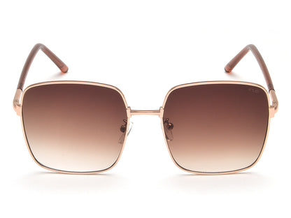 IRUS S1147 Square Women Sunglasses
