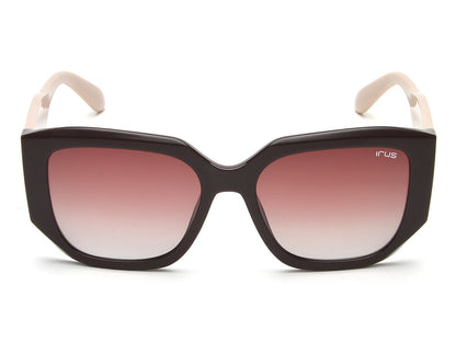 IRUS 1241 Women Square Sunglasses