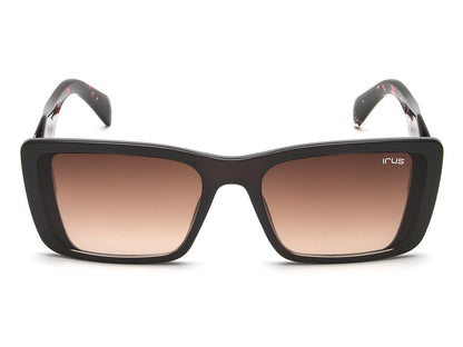 IRUS S1246 Square Women Sunglasses