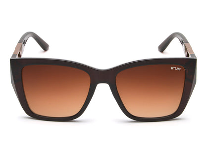 IRUS S1247 Square Women Sunglasses