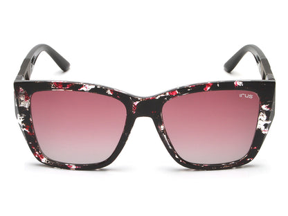 IRUS S1247 Square Women Sunglasses