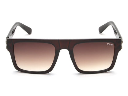 IRUS S1259 Square Men Sunglasses