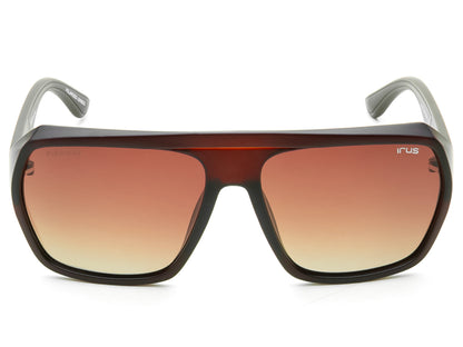 IRUS 1307 Men Flier Sunglasses