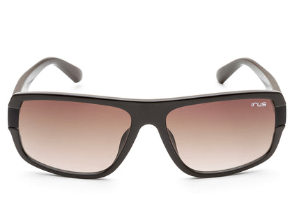 IRUS 1312 Men Rectangular Sunglasses