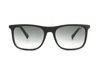 IRUS S1376 Square Men Sunglasses