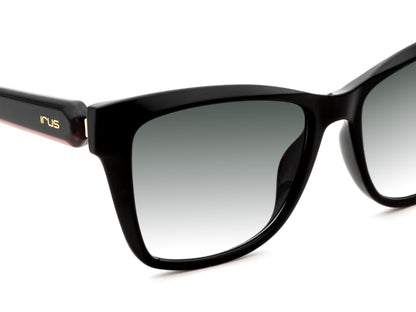 IRUS 1416 Women Square Sunglasses