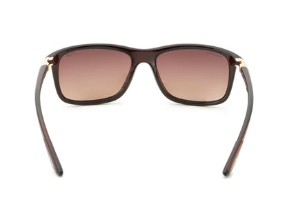 IRUS S1427 Rectangular Men Sunglasses