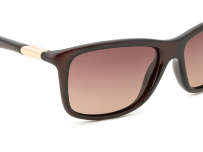 IRUS S1427 Rectangular Men Sunglasses