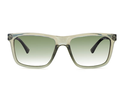 IRUS S1428 Square Men Sunglasses