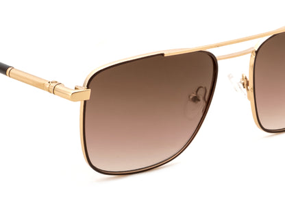 IRUS S1463 Rectangular Men Sunglasses
