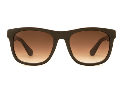 IRUS S1513 Men Traveller Sunglasses