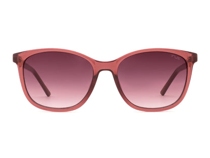 IRUS S1524 Women Square Sunglasses