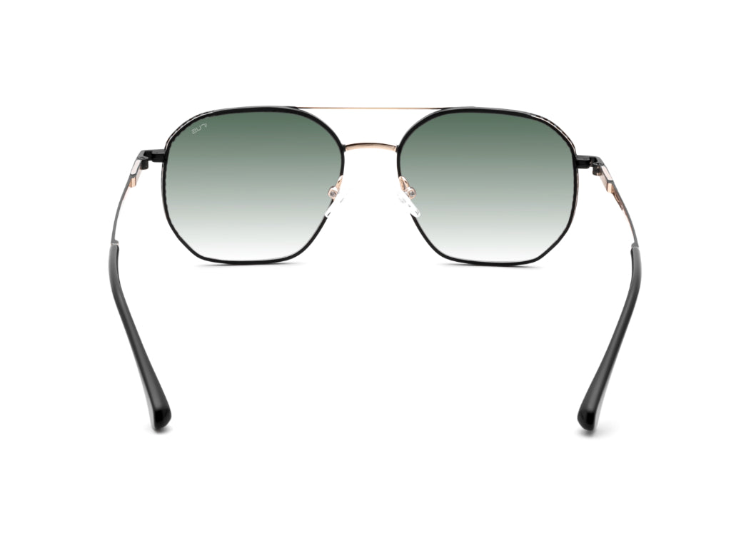 IRUS S1528 Men Hexagon Sunglasses