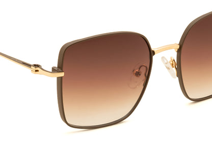 IRUS S1531 Women Square Sunglasses